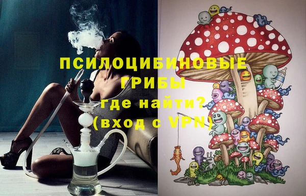 PSILOCYBIN Алексин